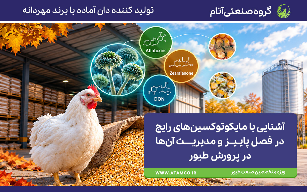 مایکوتوکسین‌ها در فصل پاییز و روشها کنترل آن‌ها